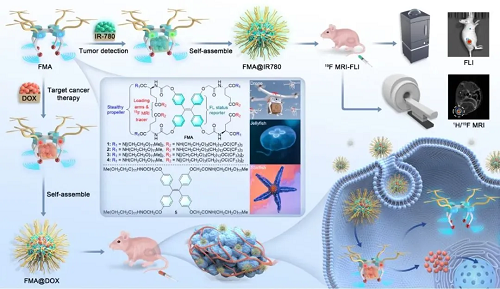 中国科学院成功开发19FMRI分子无人机，药物精准递送、肿瘤靶向治疗