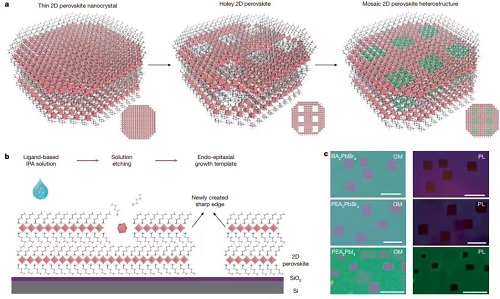 中国科大自刻蚀技术攻克材料难题 二维半导体加工获重大突破，实现原子级“马赛克”异质结可控构筑