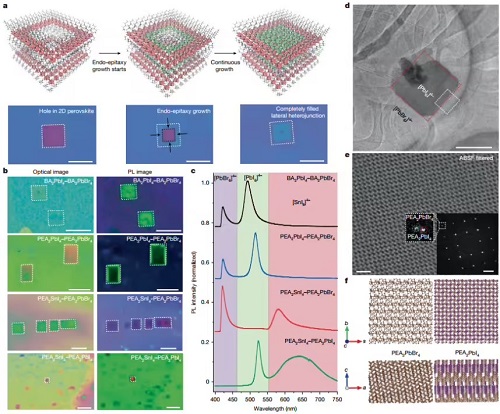 format,f_avif.avif (2).jpg